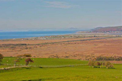 Borth Bog