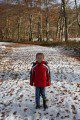 Woodland Walk