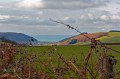 View to Clarch
