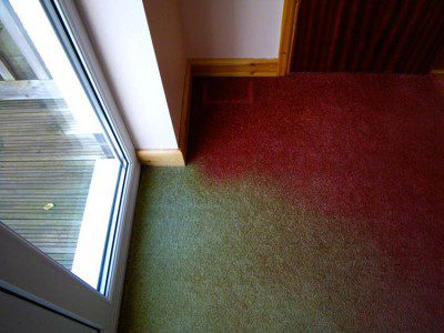Faded Carpet