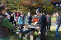 A Fungi Feast