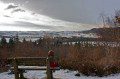 A Snowy Scene