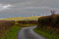 Wind Farm