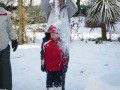 A Snow Shower