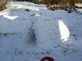 The Igloo take shape