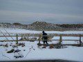 Off for a cold water surf