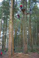 Brad in Freefall