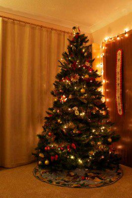 Xmas Tree 2010