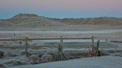 Frosty View