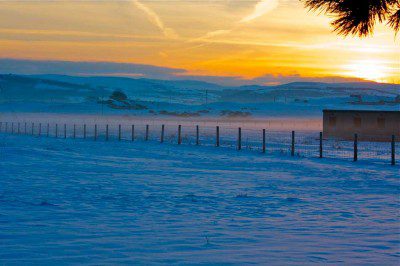Ynyslas in the Snow