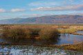 The Dyfi Valley from RSPB Ynyshir