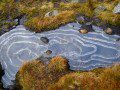 Ice Patterns