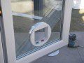 The Cat Flap