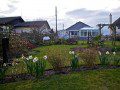 View from bottom of the garden