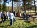 Aberystwyth Beekeepers