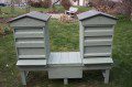 Hives in the Garden