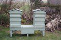 Painted Hives