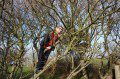 Tree Climbing