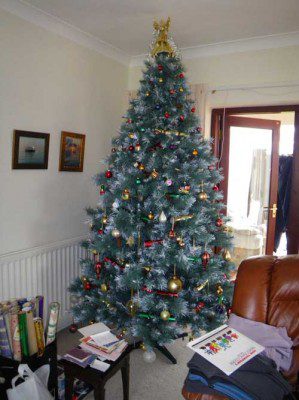 Xmas Tree in April