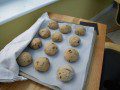 hot cross buns rising