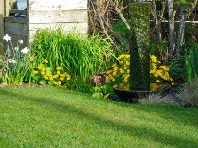 Our own little Bog Garden