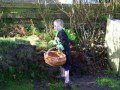 Egg Hunt