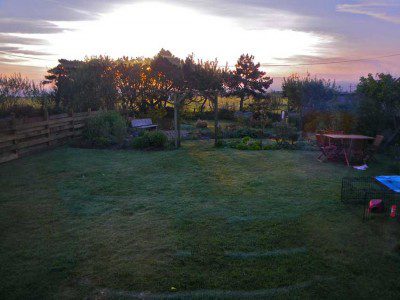 View of our garden from the conservatory