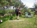 More Garden DIY