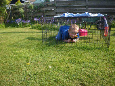 Morgan in a Cage