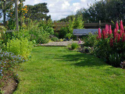 Our Garden