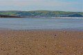 Borth