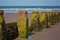 Beach Groyne