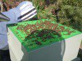 Opening the Hive