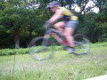 Life in Motion