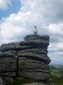 Morgan, Combestone Tor