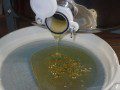 The Honey Flows Forth