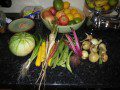 Garden Vegetables