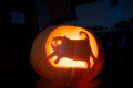 Cat Carving