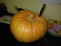 Pumpkin Cutting