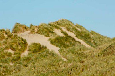 Ynyslas Dunes