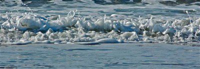 Wave Foam
