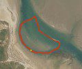 Todays Swim Route