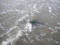 Tide was a little too high