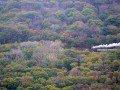 Rheidol Railway