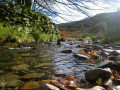 Watery Wales