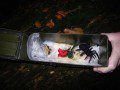 Spooky Cache