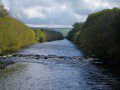 River Ystwyth