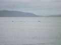 Open Water Swimming
