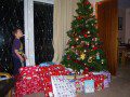 Presents under the Tree