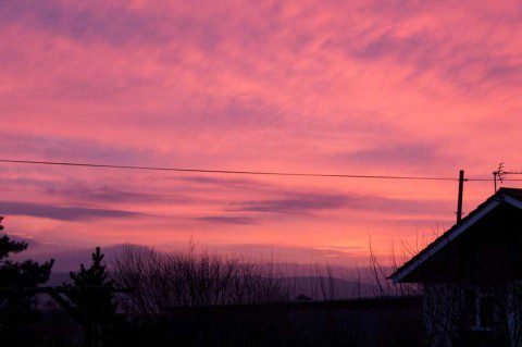 Red Sky in the Morning
